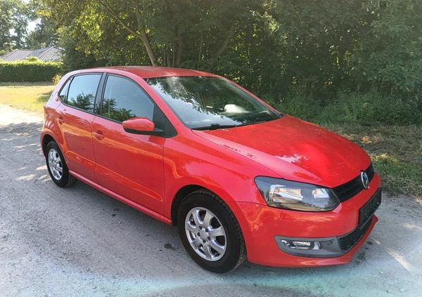 Volkswagen Polo cena 14999 przebieg: 97000, rok produkcji 2009 z Nysa małe 379